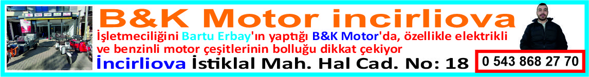 mouse ile üzerine gelince