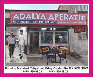 mouse ile üzerine gelince