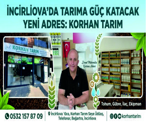 mouse ile üzerine gelince