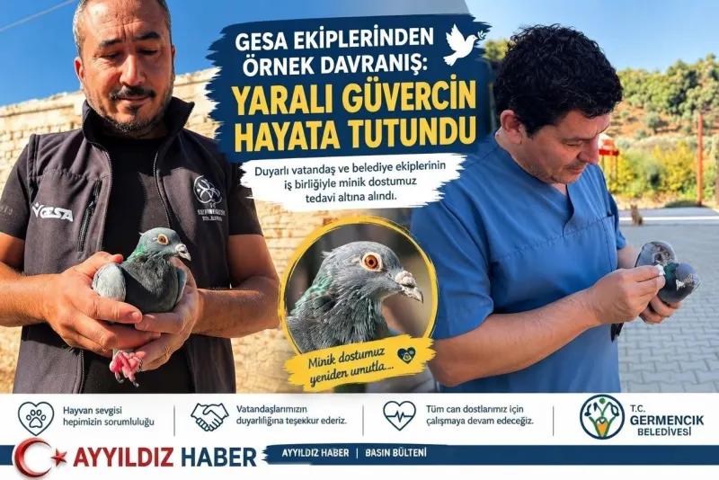 GESA EKİPLERİNDEN ÖRNEK DAVRANIŞ: YARALI GÜVERCİN HAYATA TUTUNDU