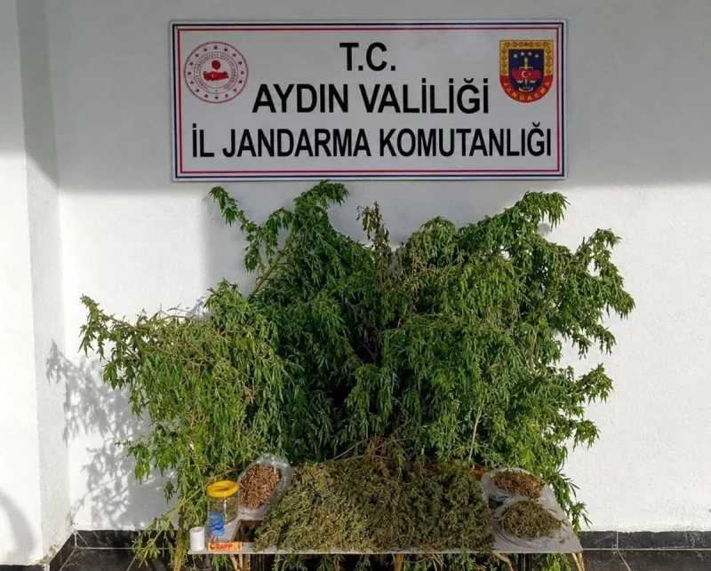 İNCİRLİOVA’DA UYUŞTURUCU OPERASYONU! EVDE 3 KİLO ESRAR, 47 KÖK KENEVİR ELE GEÇİRİLDİ