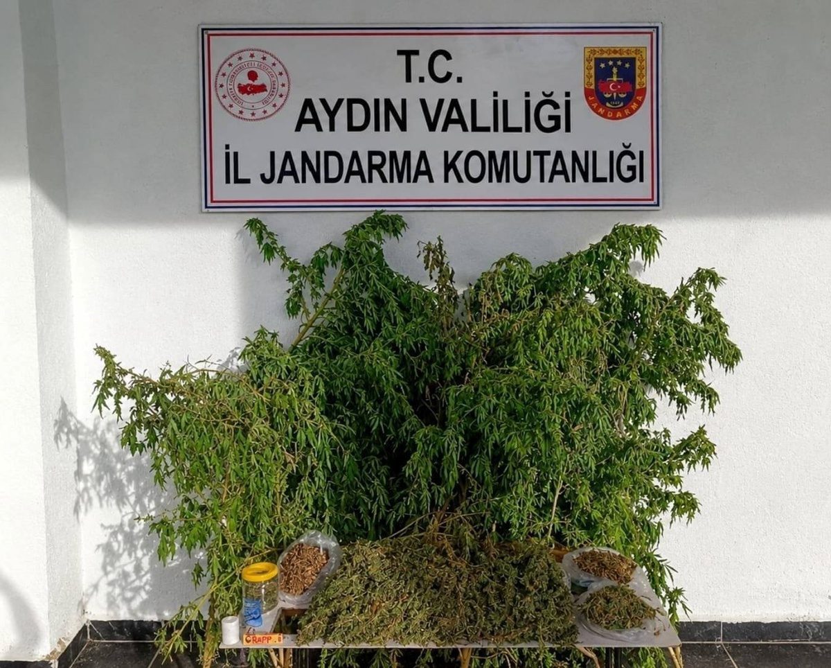 İNCİRLİOVA’DA UYUŞTURUCU OPERASYONU! EVDE 3 KİLO ESRAR, 47 KÖK KENEVİR ELE GEÇİRİLDİ