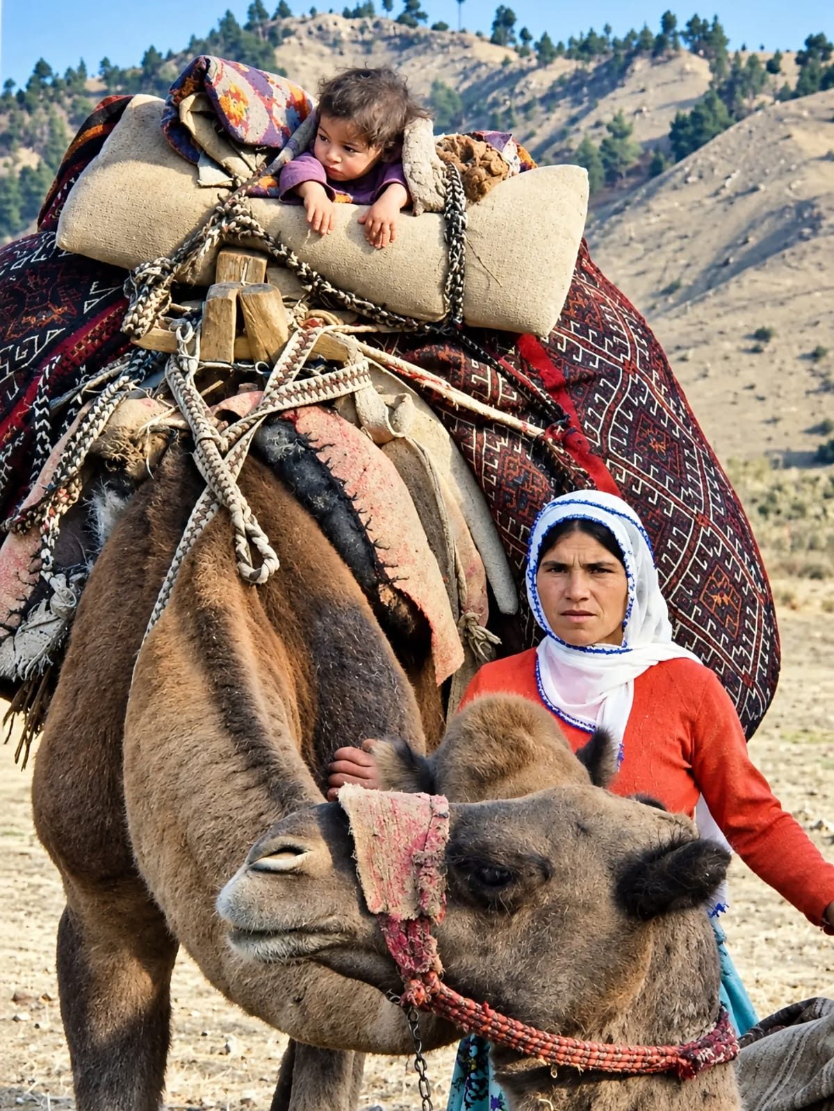 TÜRK KÜLTÜRÜNÜN KÖKLÜ GELENEĞİ: DEVELERLE YÖRÜK GÖÇÜ GEÇMİŞTEN GÜNÜMÜZE UZANIYOR
