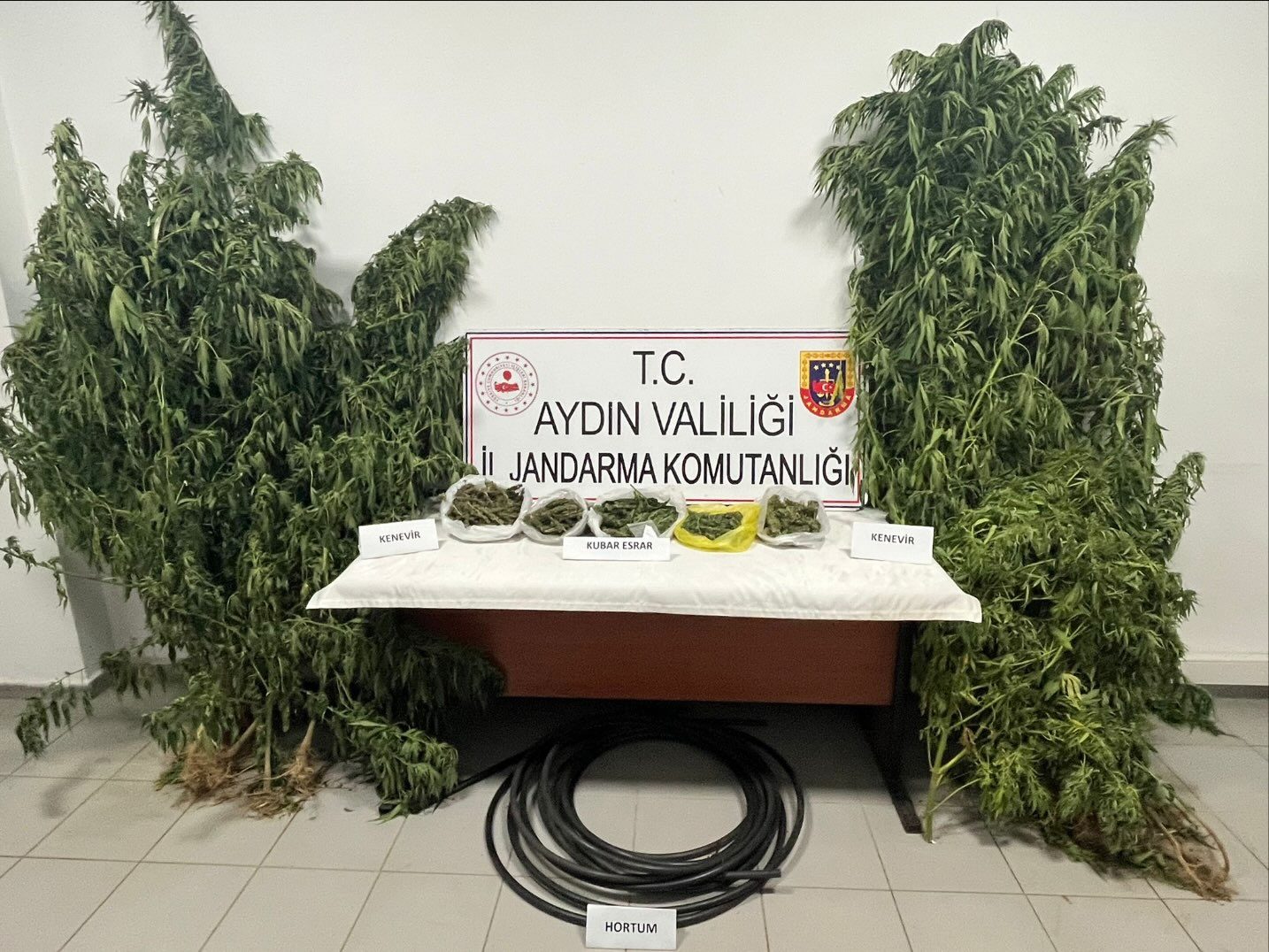 Aydın’da Uyuşturucu Operasyonu: 1 Kişi Tutuklandı