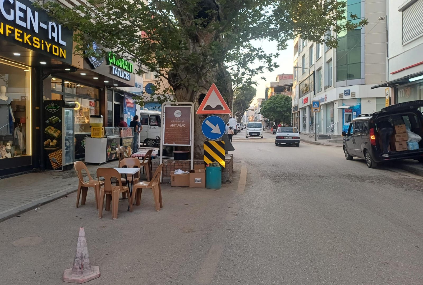 Anıt Ağaçlarımız Değerlidir ve Güvenlik Sebebiyle Taşınabilir