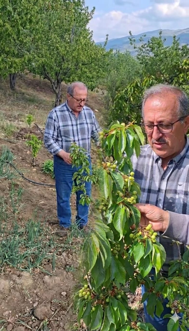 İYİ Parti Kuyucak İlçe Başkanı Fahrettin Kemik’ten Dolu Afeti Çağrısı: “Kuyucak Doğal Afet Bölgesi İlan Edilmeli”
