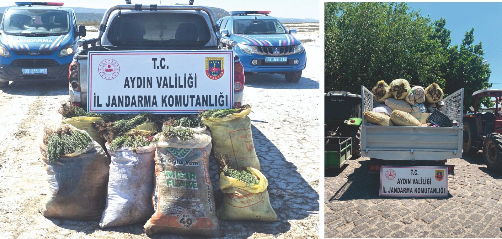 Didim’de doğal koruma alanlarında kaçak bitki topladığı belirlenen 8 kişiye işlem