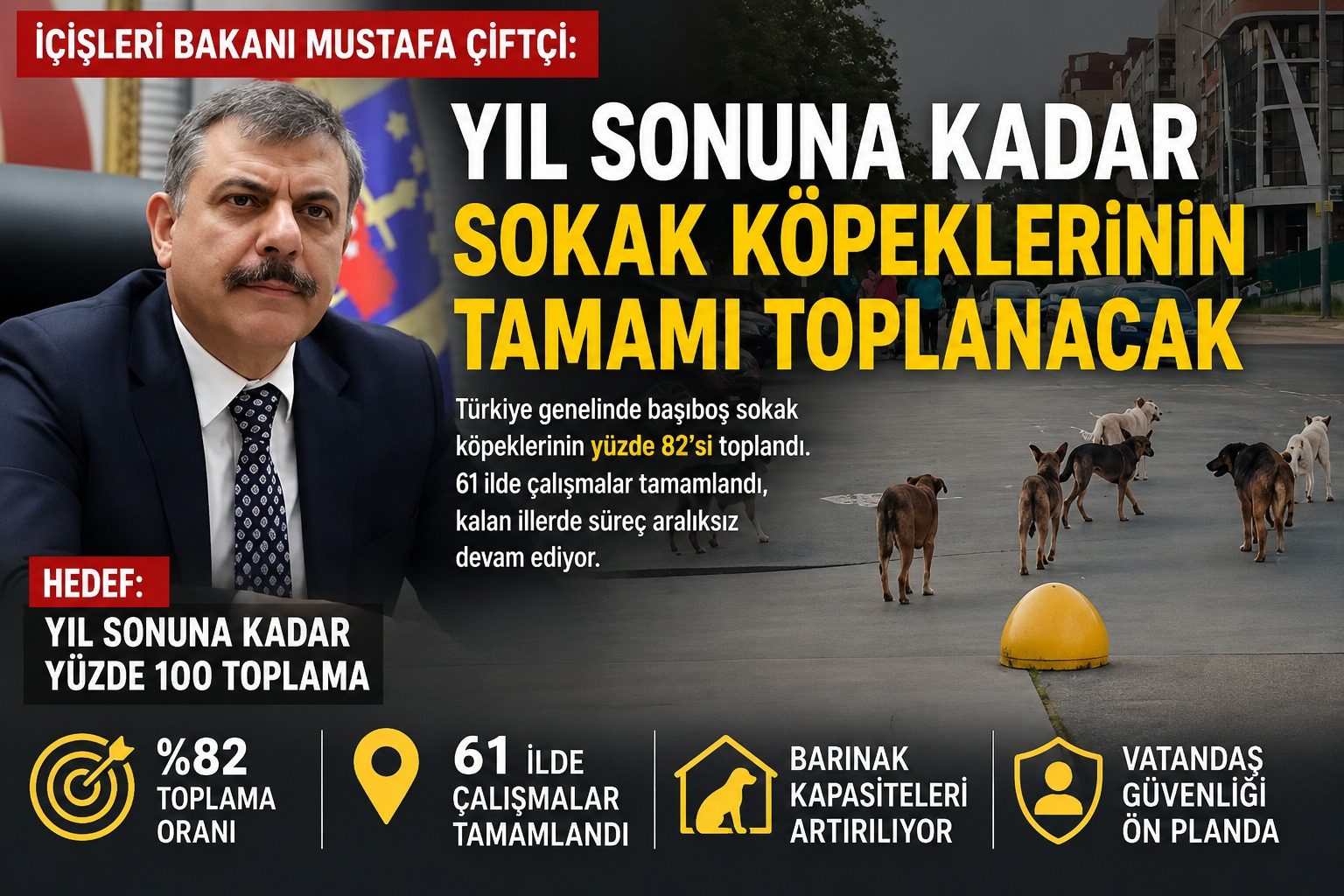 BAKAN ÇİFTÇİ: “YIL SONUNA KADAR SOKAK KÖPEKLERİNİN TAMAMI TOPLANACAK”