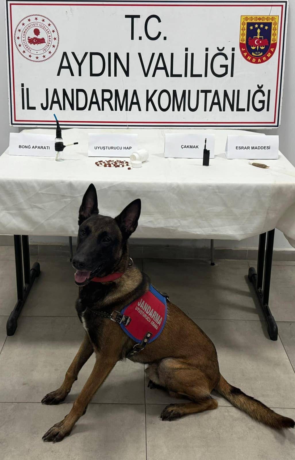 Jandarma İzmir-Aydın Otoyolu'nda Uyuşturucu Yakaladı