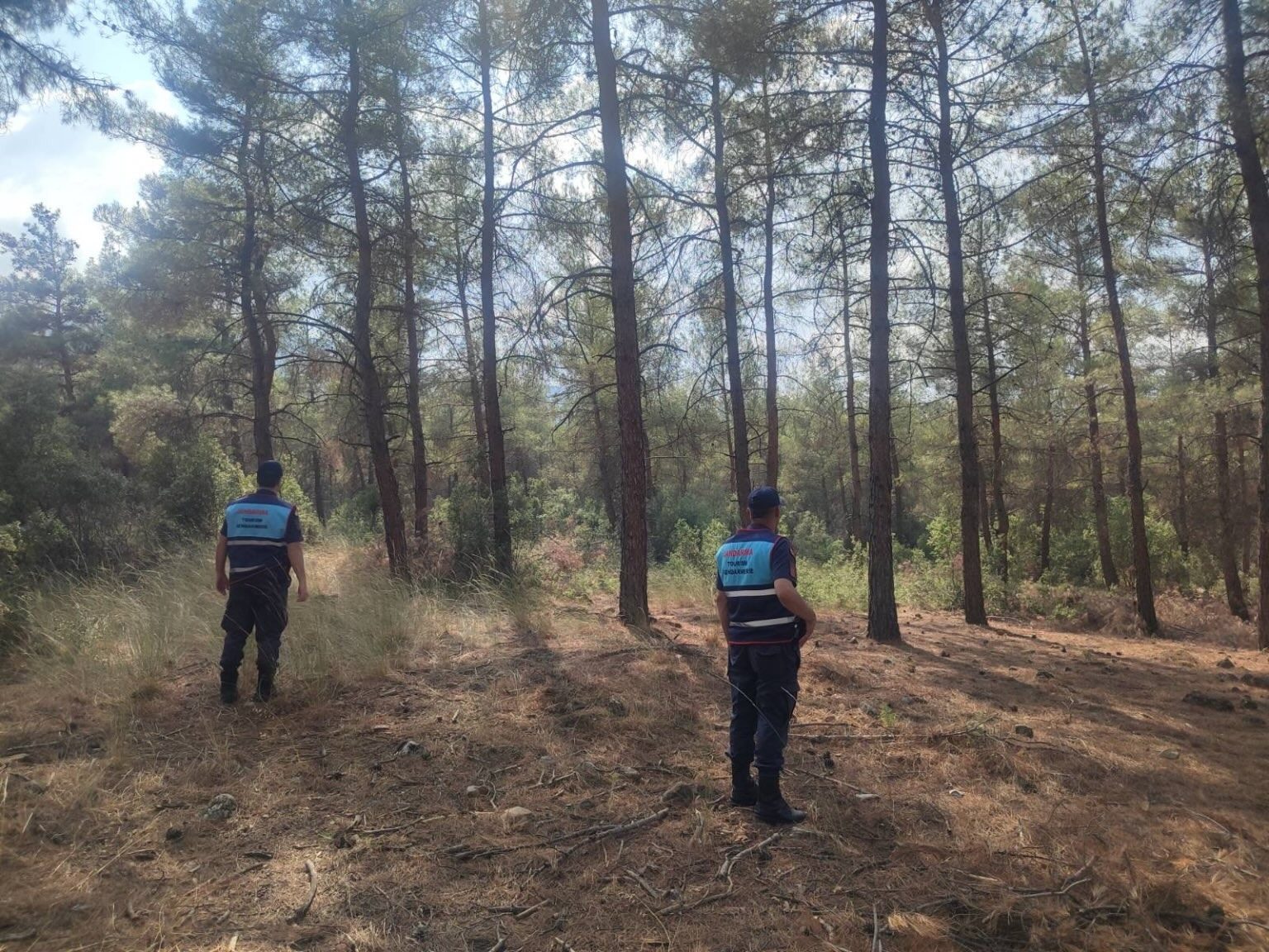 JANDARMA’DAN ORMAN DEVRİYESİ
