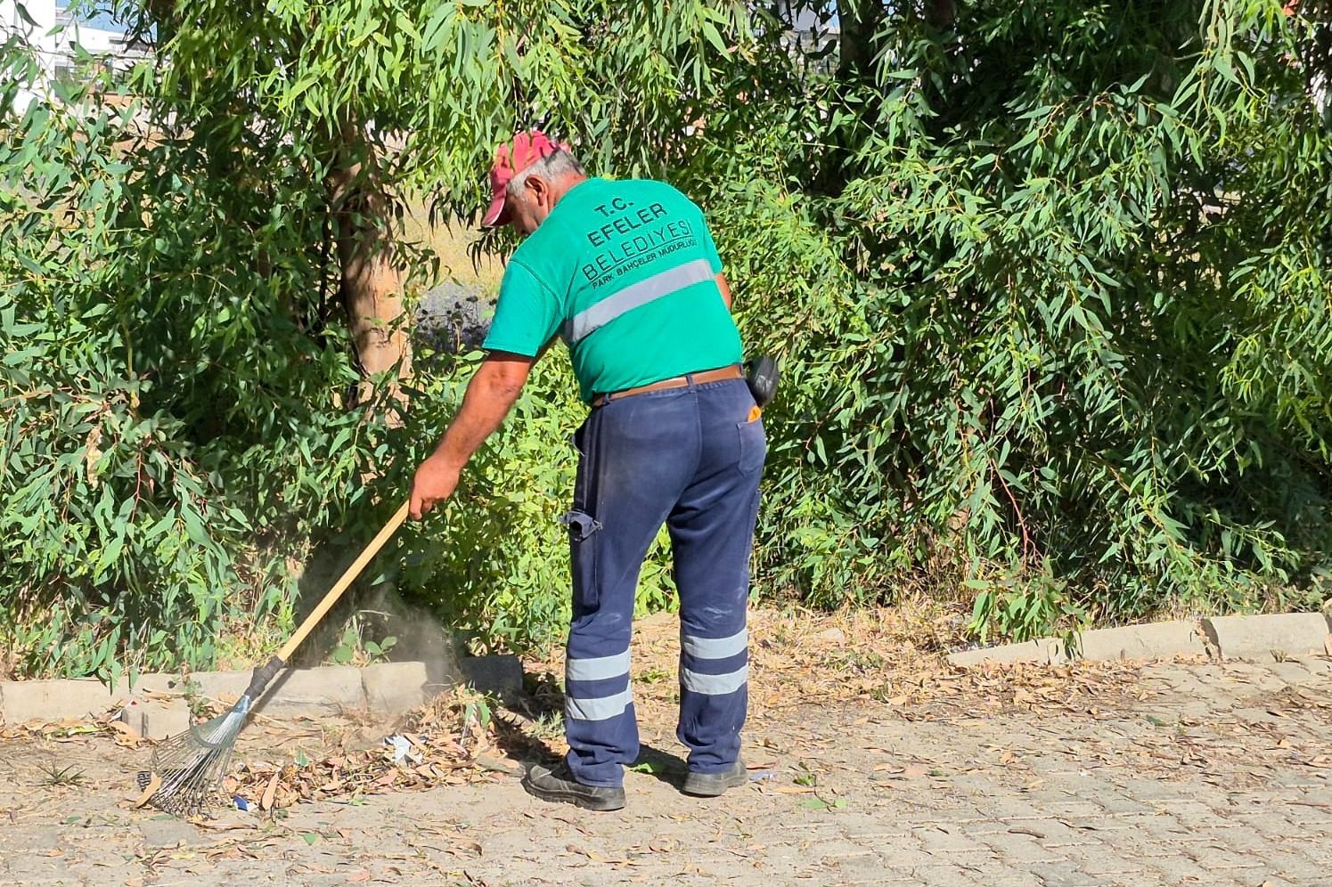 EFELER’İN YEŞİL EKİPLERİ FAALİYETLERİNE DEVAM EDİYOR