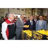 Satsuma mandalina yüklü TIR’lar ihracata yolcu edildi
