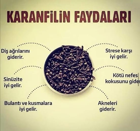 KARANFİLİN FAYDALARI