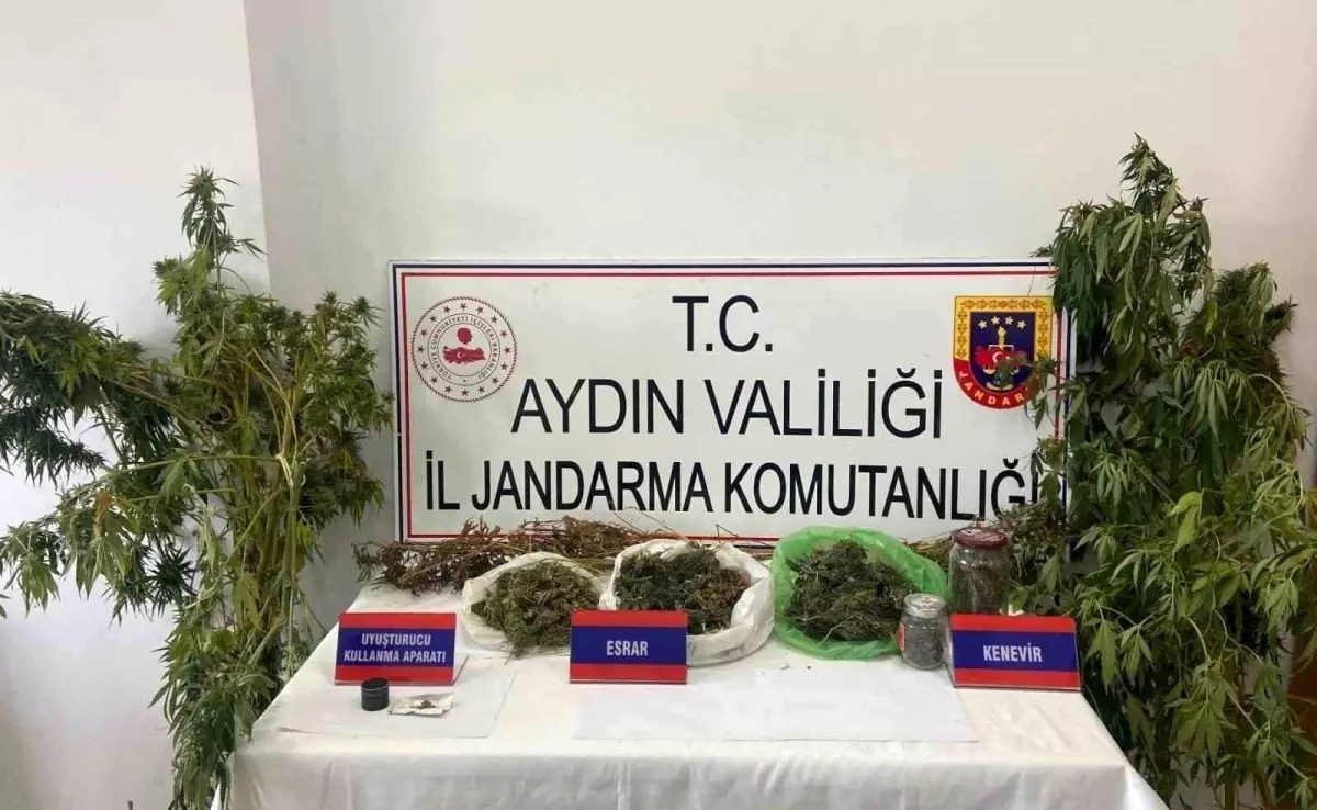 İNCİRLİOVA’DA MISIR TARLASINDA UYUŞTURUCU