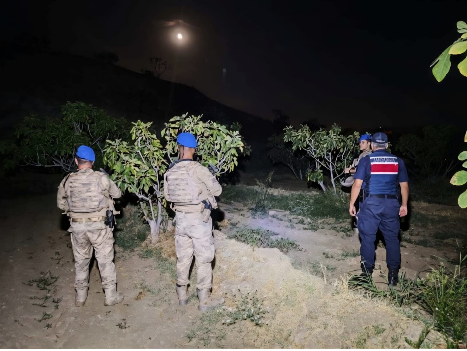Kuyucak’ta incir hırsızlığına karşı jandarmadan denetim