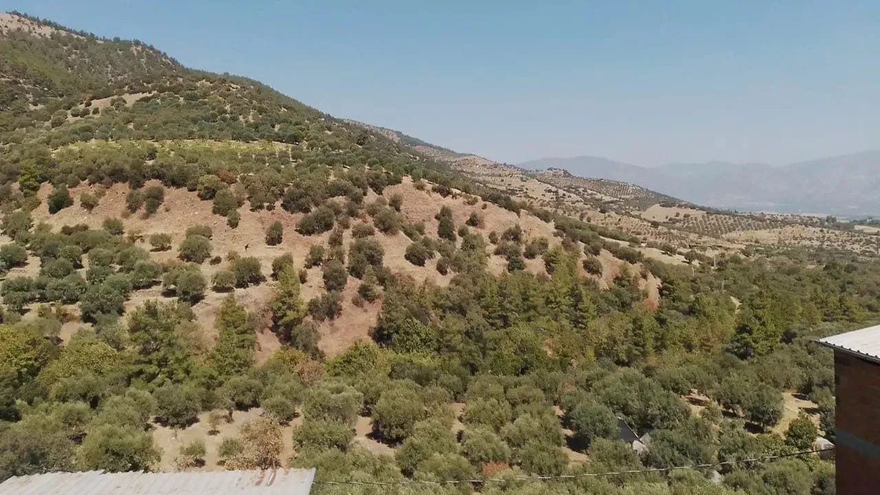 Aydın'da gizemli patlama! Ses il genelinde duyuldu