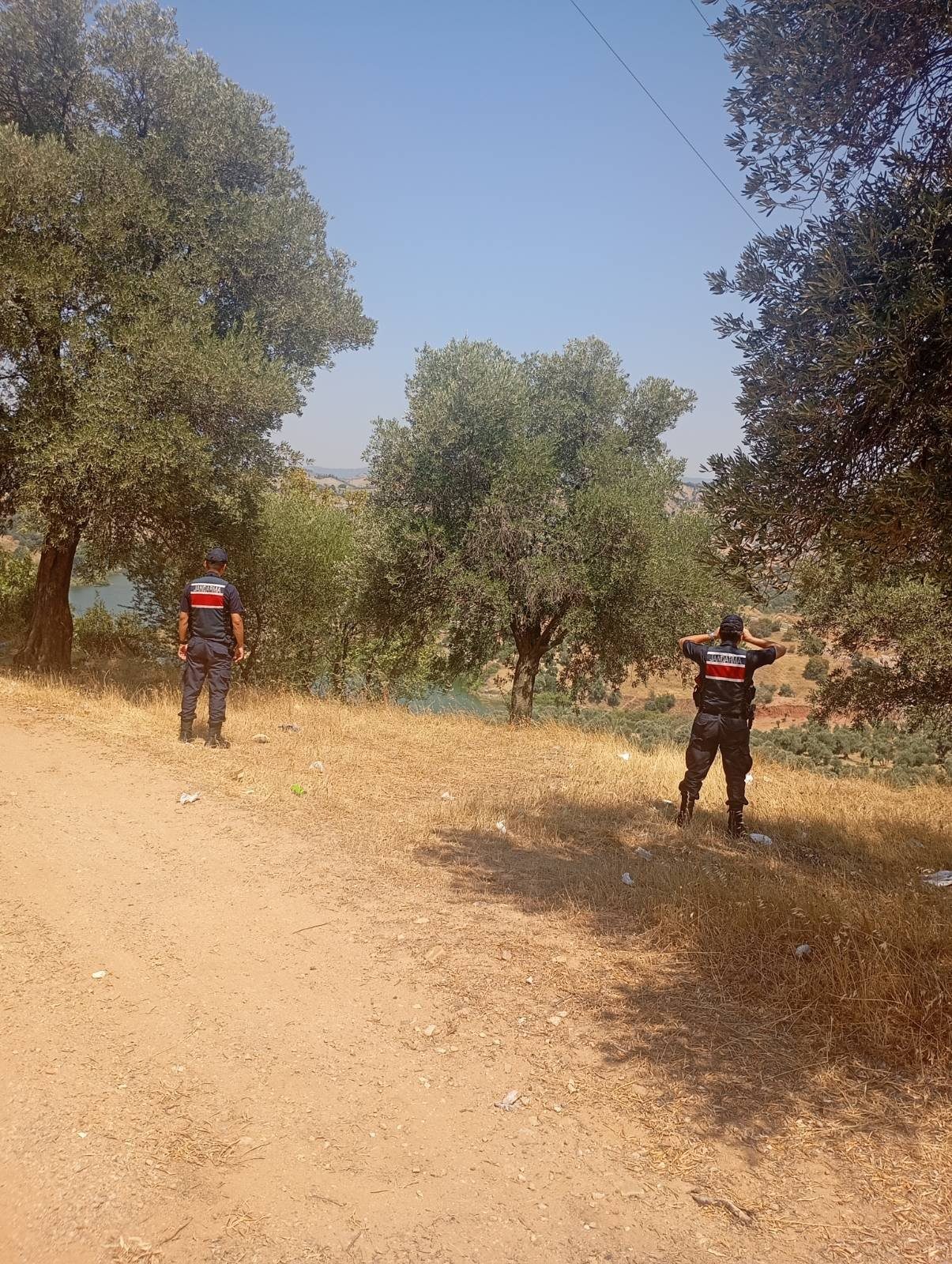Aydın'da ormanlara giren ve ateş yakanlara ceza yağdı