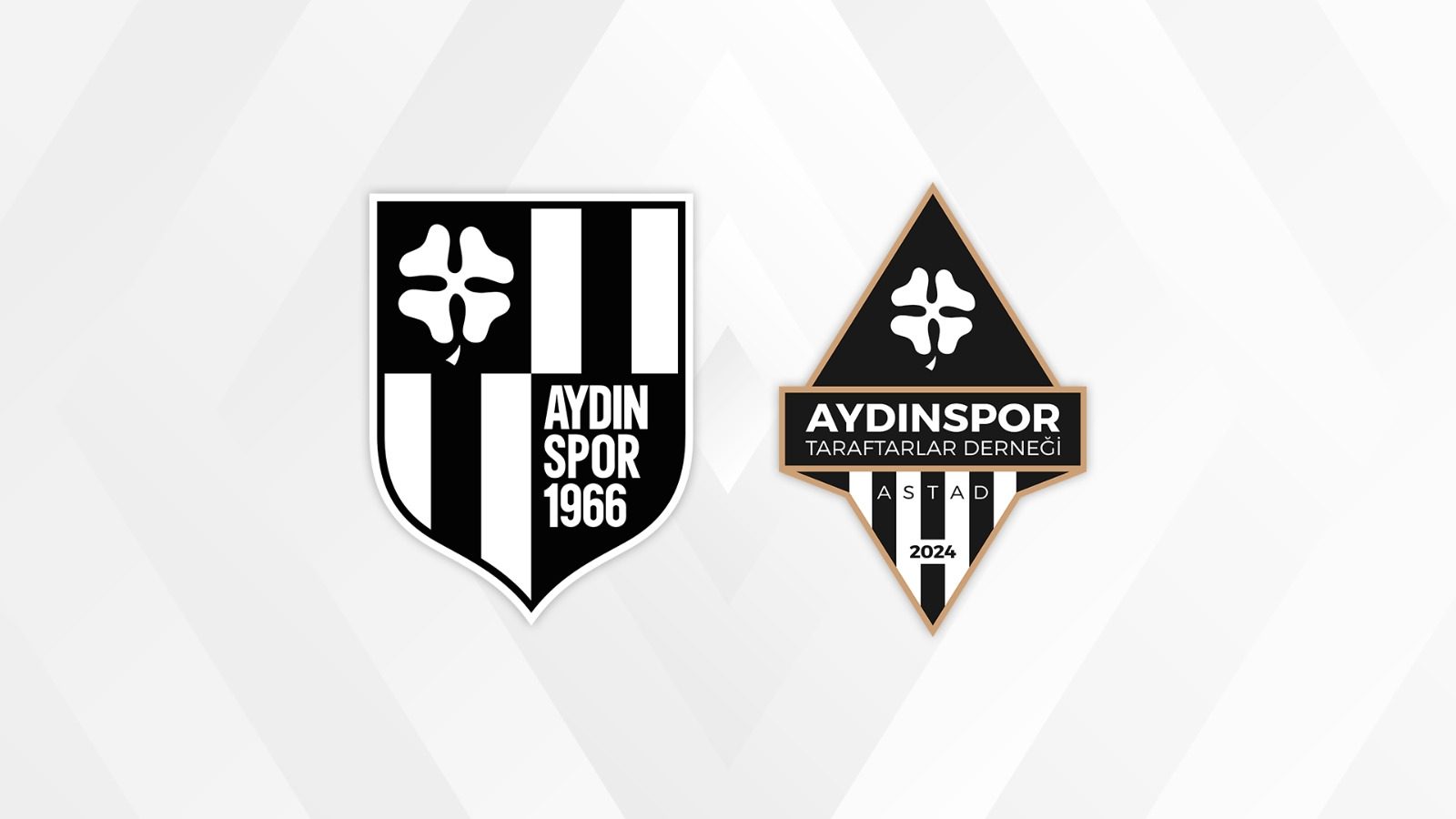 AYDINSPOR TARAFTARLAR DERNEĞİ (ASTAD) RESMEN KURULDU