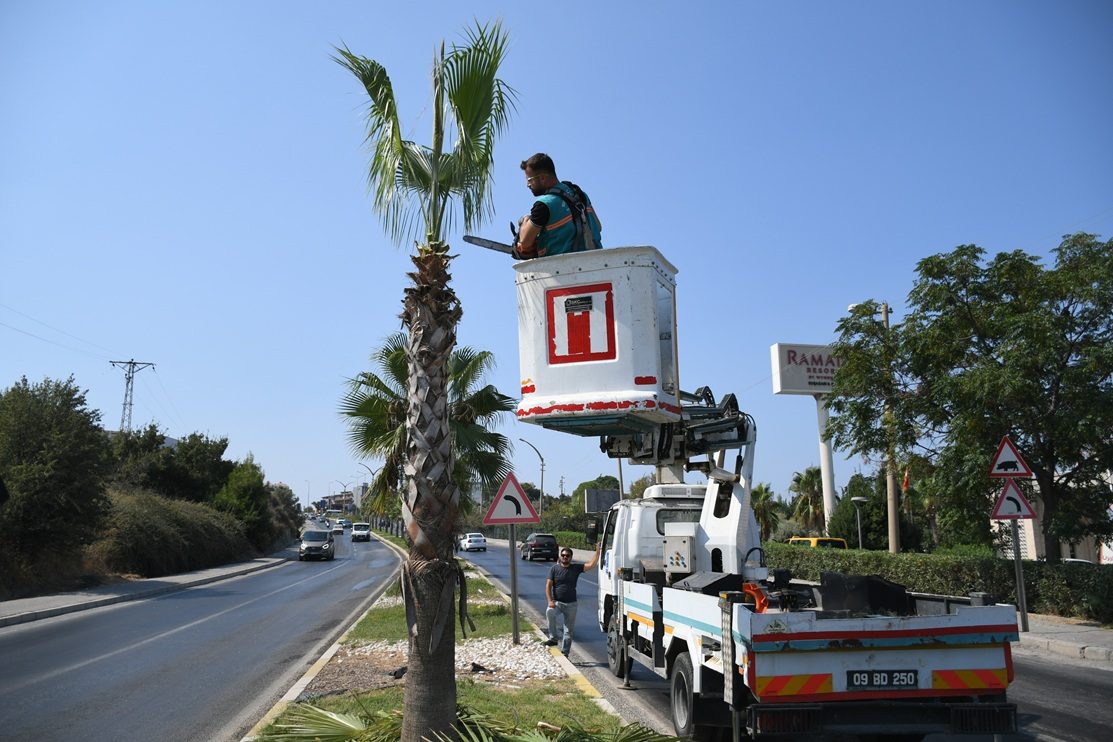 DAHA ESTETİK, DAHA YEŞİL BİR KUŞADASI İÇİN ÇALIŞMALAR SÜRÜYOR: