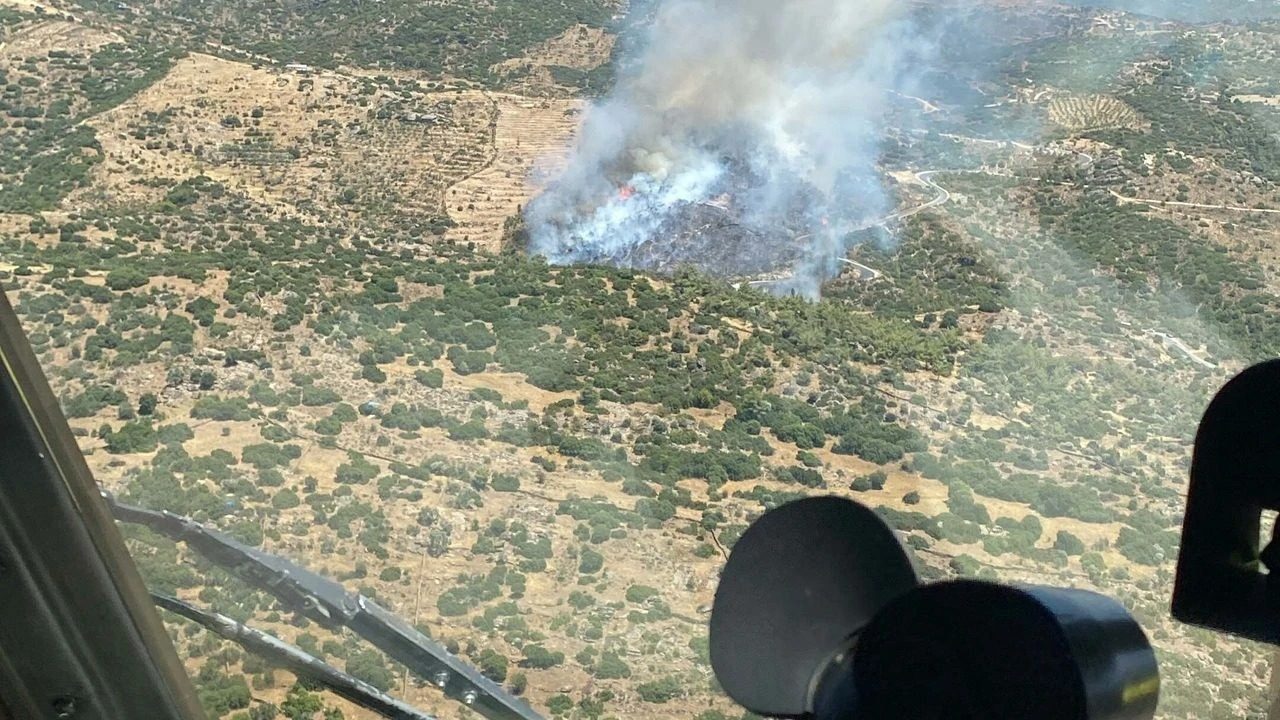 Çine’de  arazi yangını!