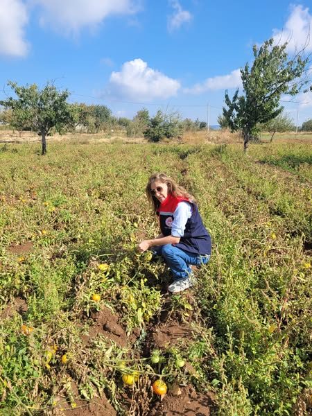 BUHARKENT’TE HASAT ÖNCESİ PESTİSİT DENETİMLERİ DEVAM EDİYOR