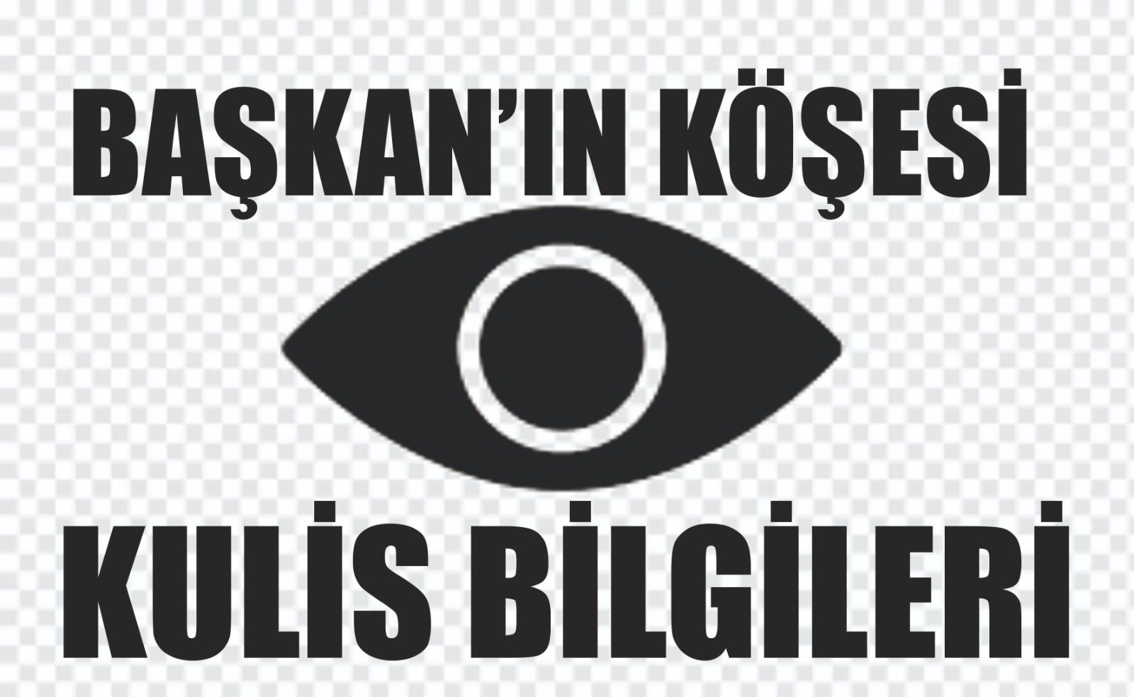 İncirliova'da büyük siyasi konsorsiyum/AYTEKİN KAYA