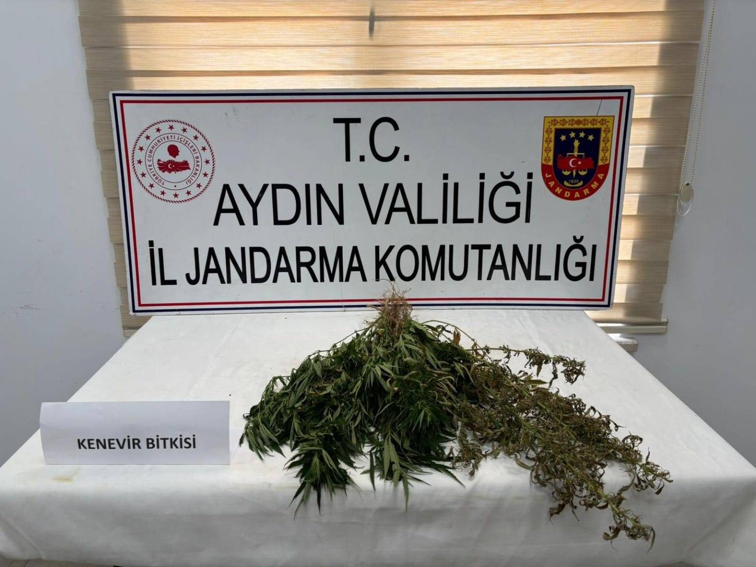 AYDIN’DA UYUŞTURUCU OPERASYONU