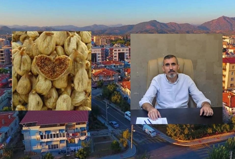 Germencik’te İncir Üreticileri 2025 Sezonunda Zorluk Yaşıyor