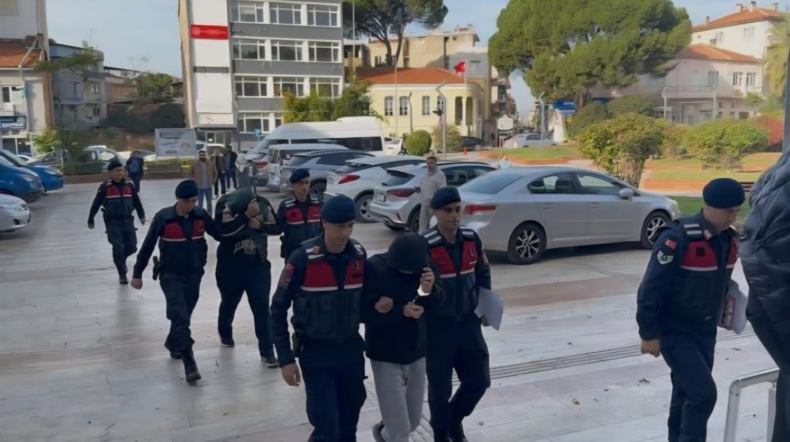 ZEYTİN HIRSIZLIĞI JANDARMANIN TITIZ ÇALIŞMASIYLA AYDINLATILDI