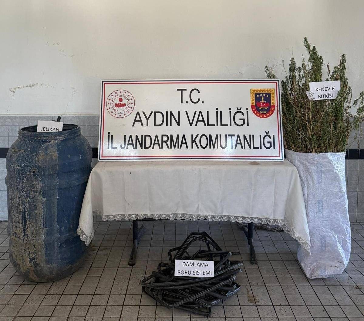 Buharkent’te İzinsiz Kenevir Ekimi Operasyonu