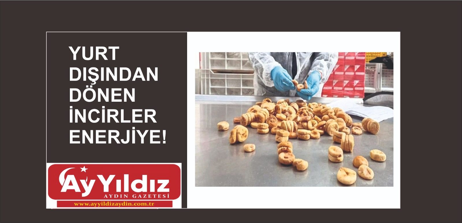 YURT DIŞINDAN DÖNEN İNCİRLER ENERJİYE!