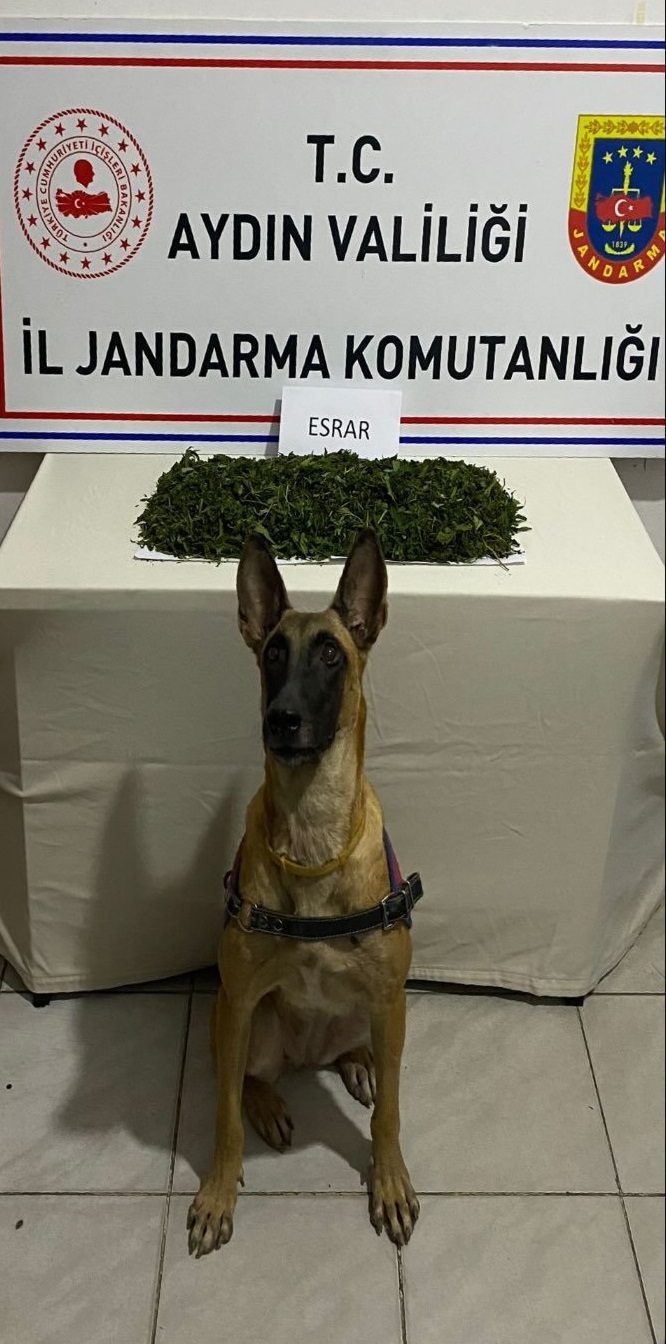 JANDARMA KONTROL NOKTASINDA UYUŞTURUCU YAKALADI