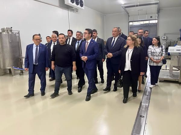 KAYMAKAM DOĞRU BAKAN YARDIMCISI İLE İNCELEMELER DE BULUNDU