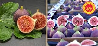 Rakı ‘Milli İçki’ olarak tescillendi