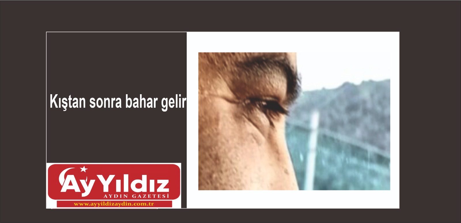 Kıştan sonra bahar gelir