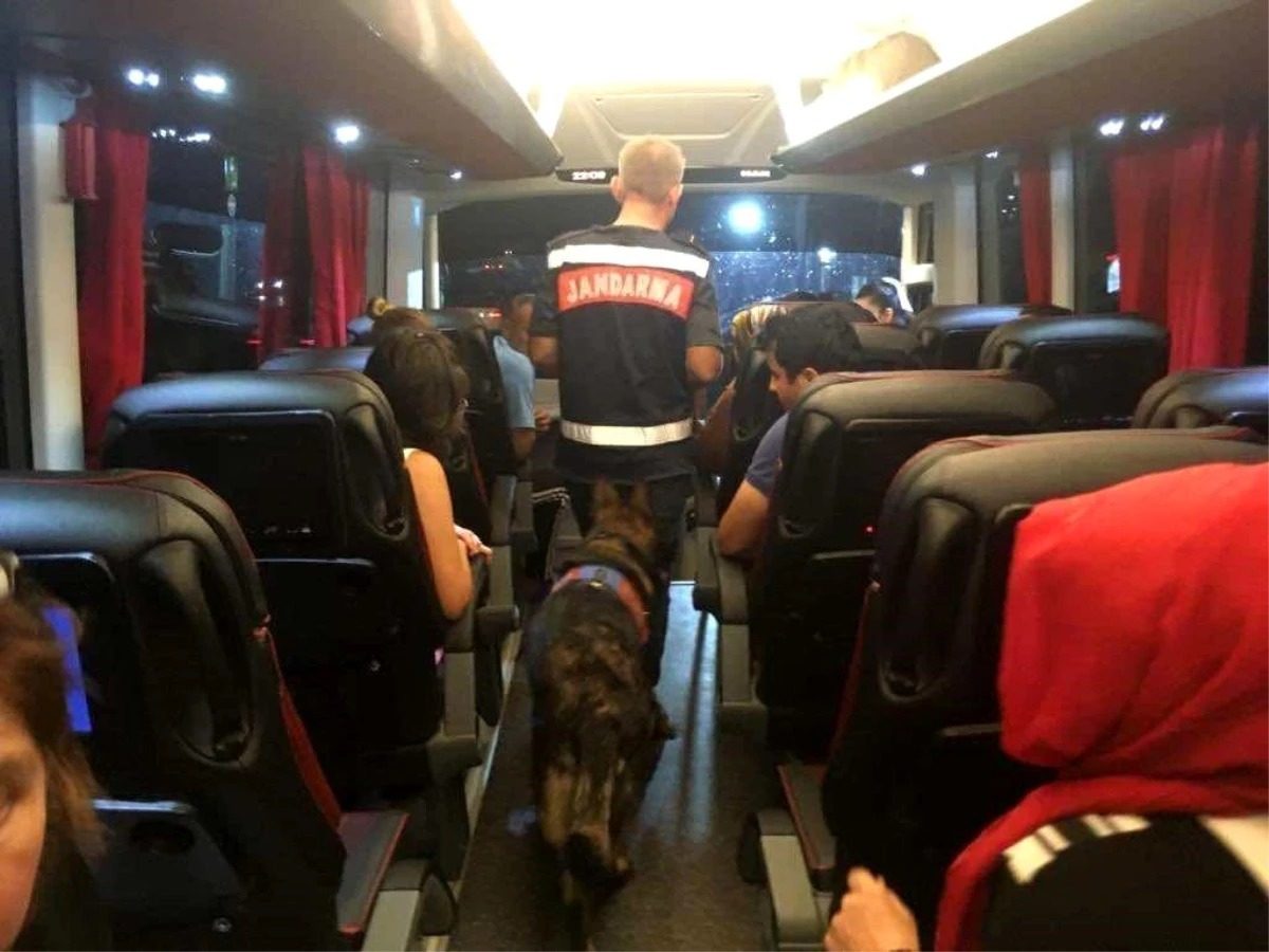 Şampuan kutusunda uyuşturucu bulunan kişi jandarma tarafından yakalandı