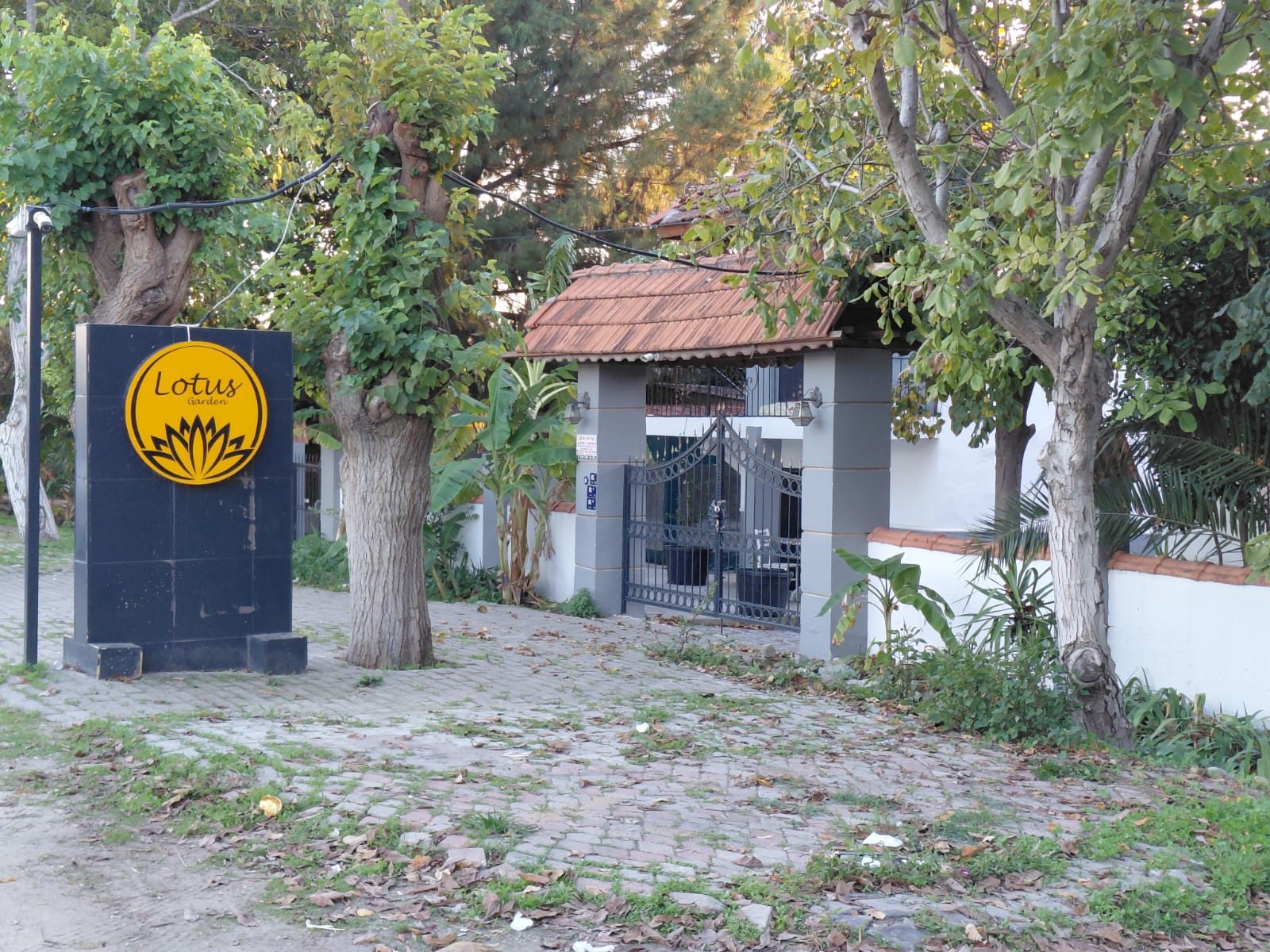 Lotus Garden Kır Düğün Salonu, Mutluluğa Doğanın Kalbinde Ev Sahipliği Yapıyor
