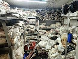 Tonlarca Kaçak ve Bozuk Et ile Balık Ele Geçirildi