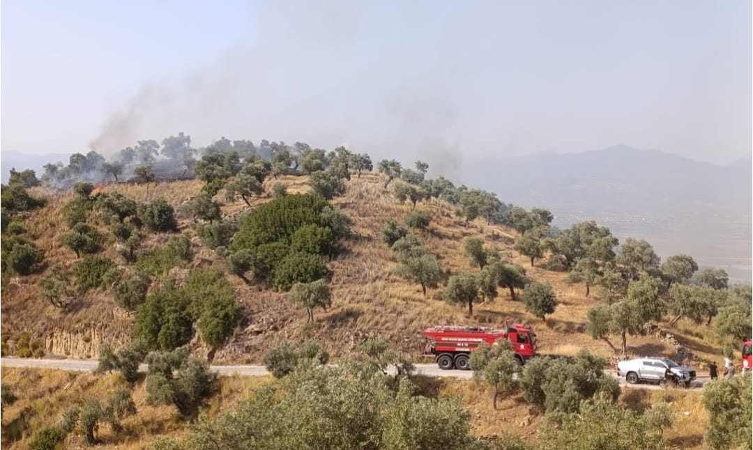 Koçarlı'daki Yangın Söndürüldü