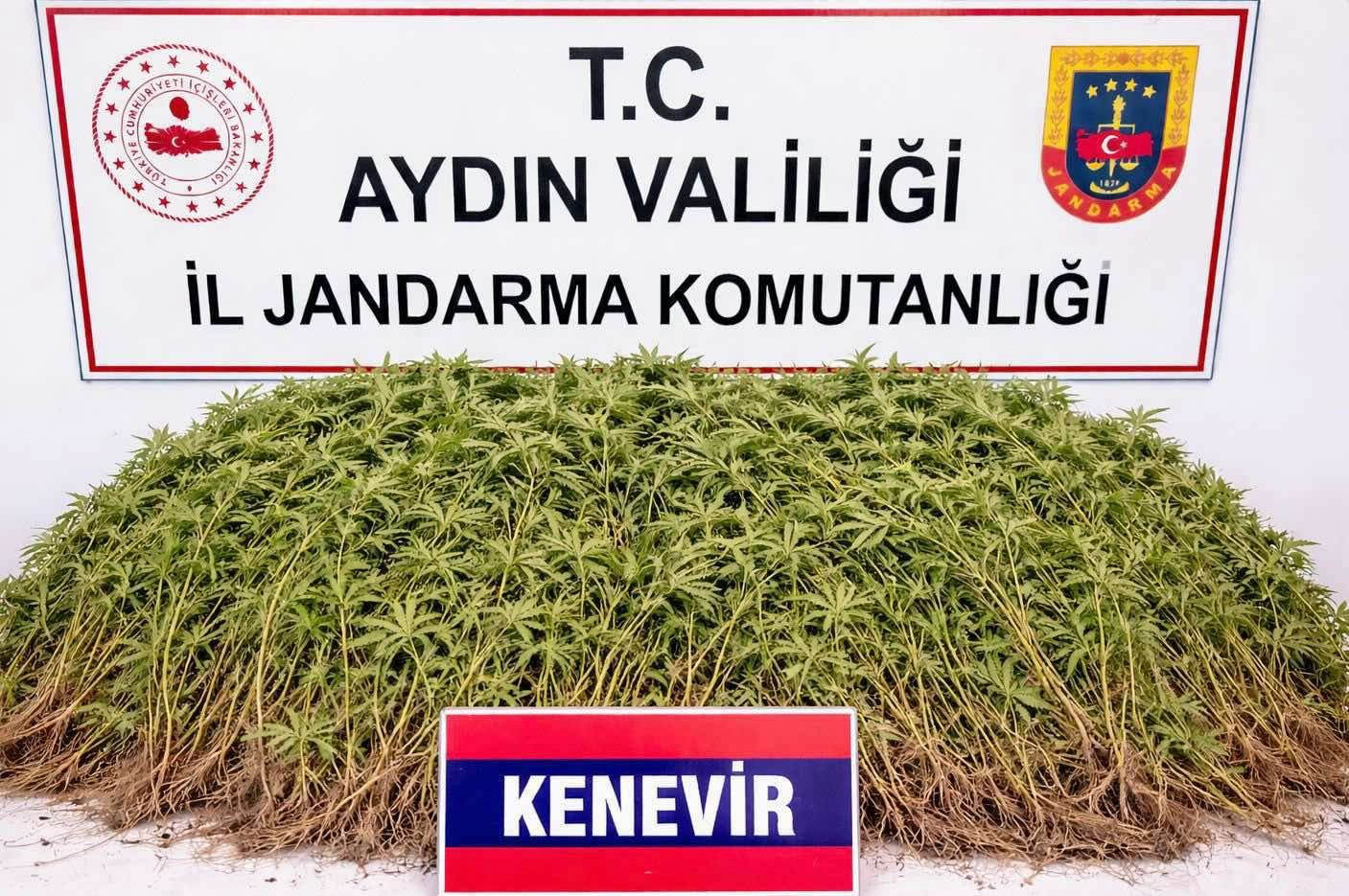 Nazilli’de Uyuşturucu Operasyonu: 1 Şüpheli Tutuklandı