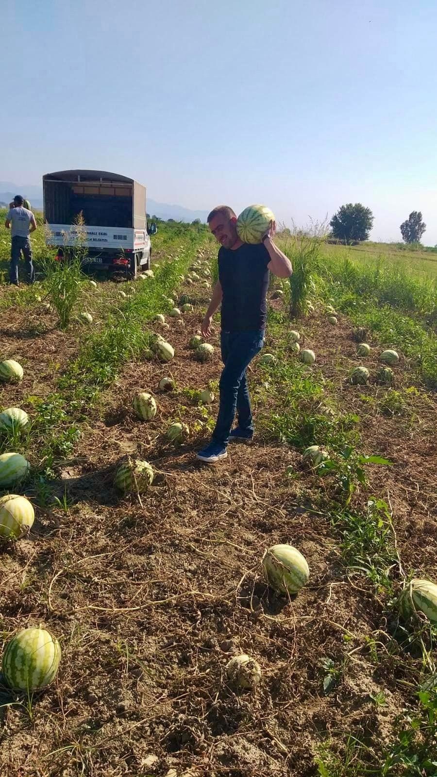 20 ton  karpuzu bedava dağıttılar