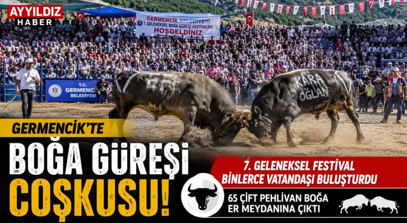  Germencik’te Boğa Güreşi Coşkusu: 7. Geleneksel Festival Binlerce Vatandaşı Buluşturdu