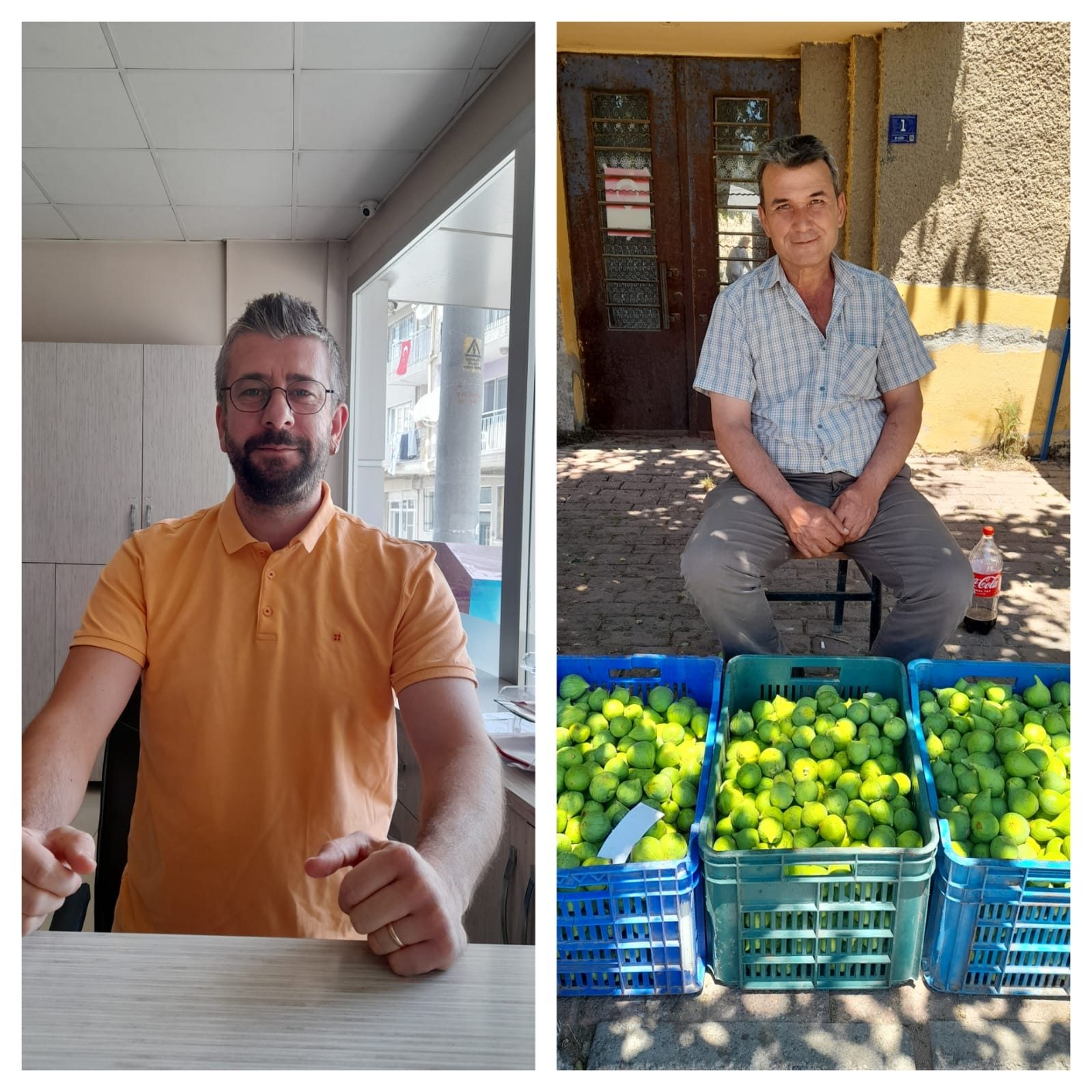 İncir'de İlekleme Dönemi Başladı