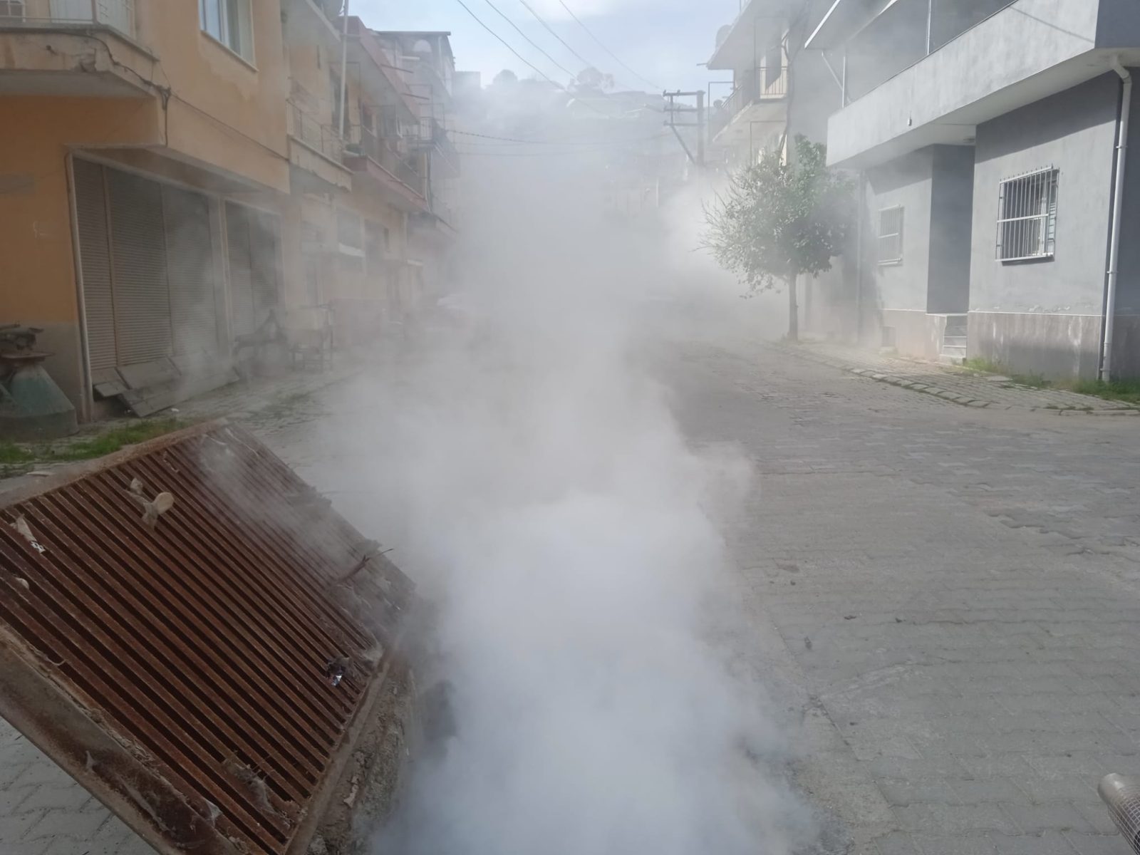 Koçarlı Belediyesinden Haşere ve Yabani Otlara erken müdahale