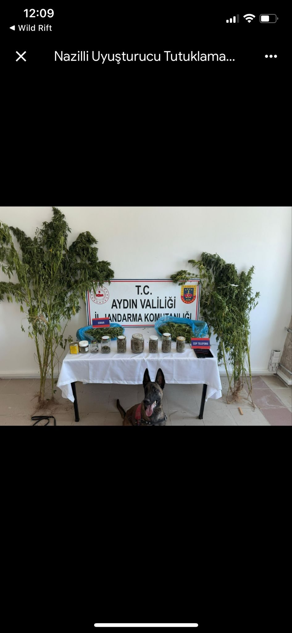 Aydın'da uyuşturucu operasyonu