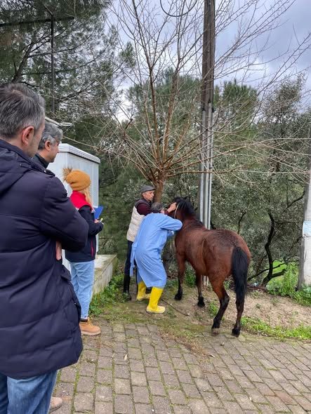 🐎 İncirliova’da Hayvan Sağlığı İçin Saha Çalışmaları Devam Ediyor