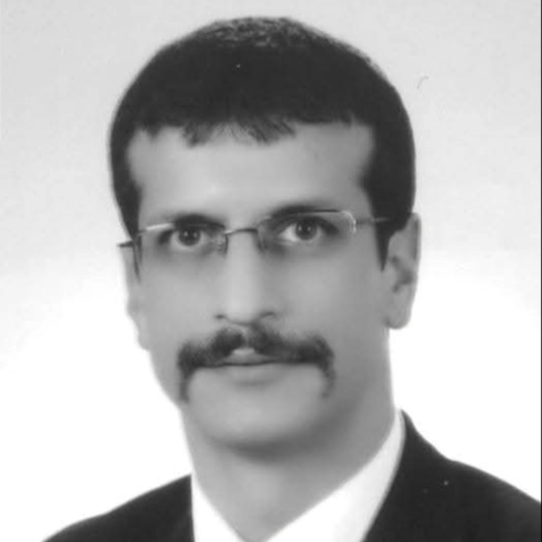 Suriye, Diktatörlük ve Demokrasi