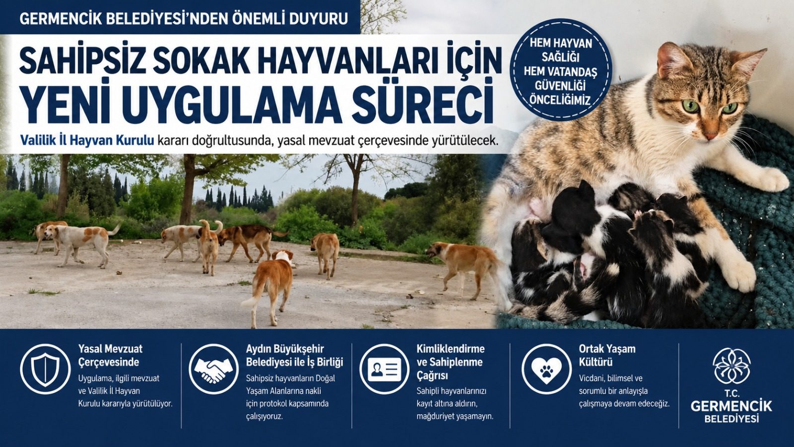 Germencik Belediyesi’nden Sahipsiz Sokak Hayvanları Hakkında Önemli Duyuru