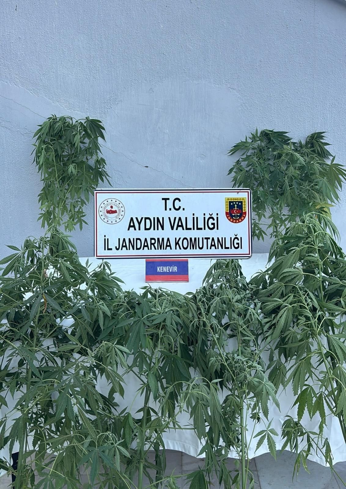 UYUŞTURUCU OPERASYONU
