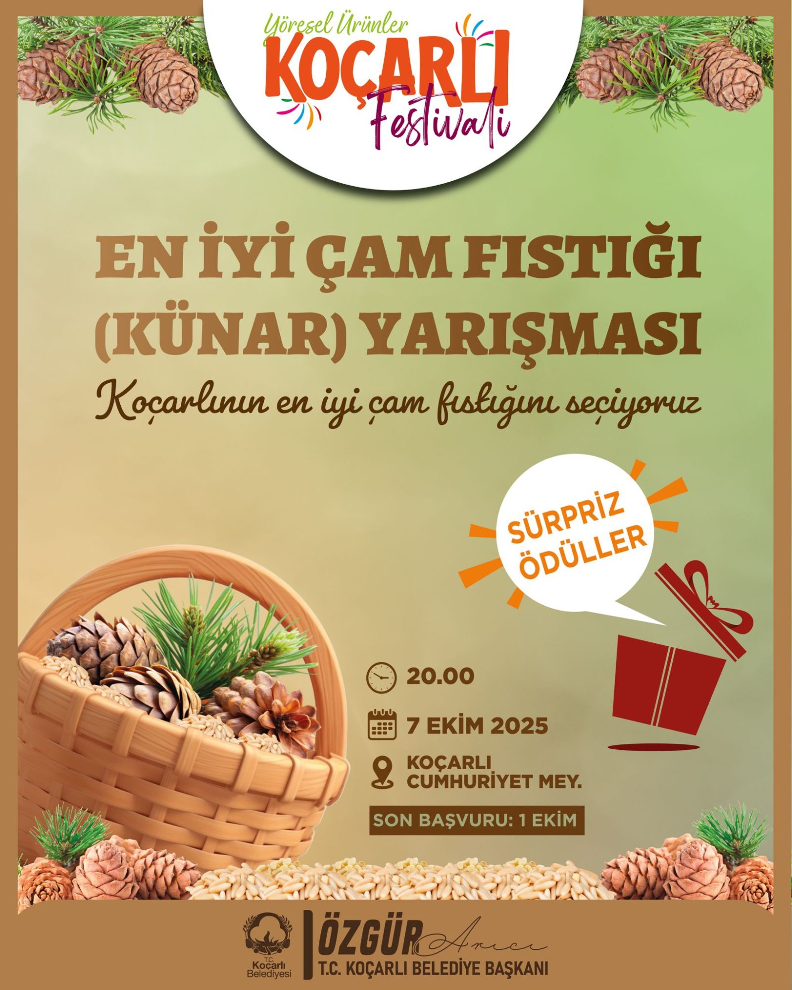 Festivalde En İyi Çam Fıstığı Yarışması